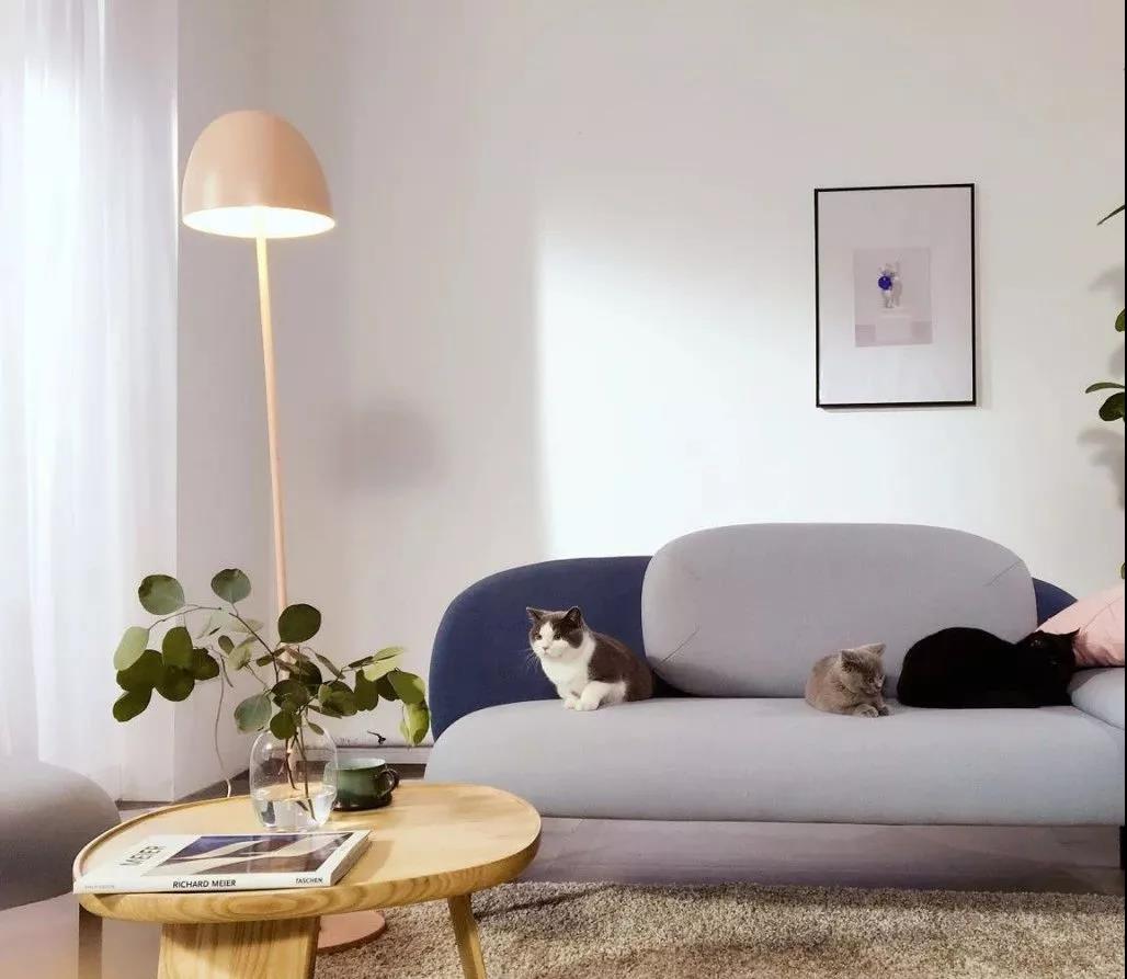 1621653011644894.jpg 微信圖片_20210522110528.jpg