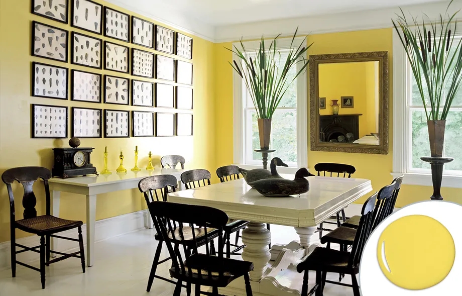 1624435801628837.jpg 05_bold_paint.webp.jpg