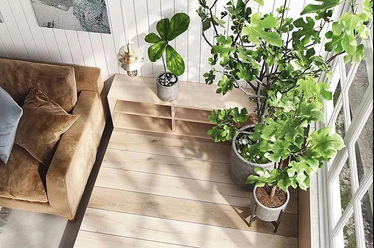 1627371502908300.jpg 微信圖片_20210727152602.jpg