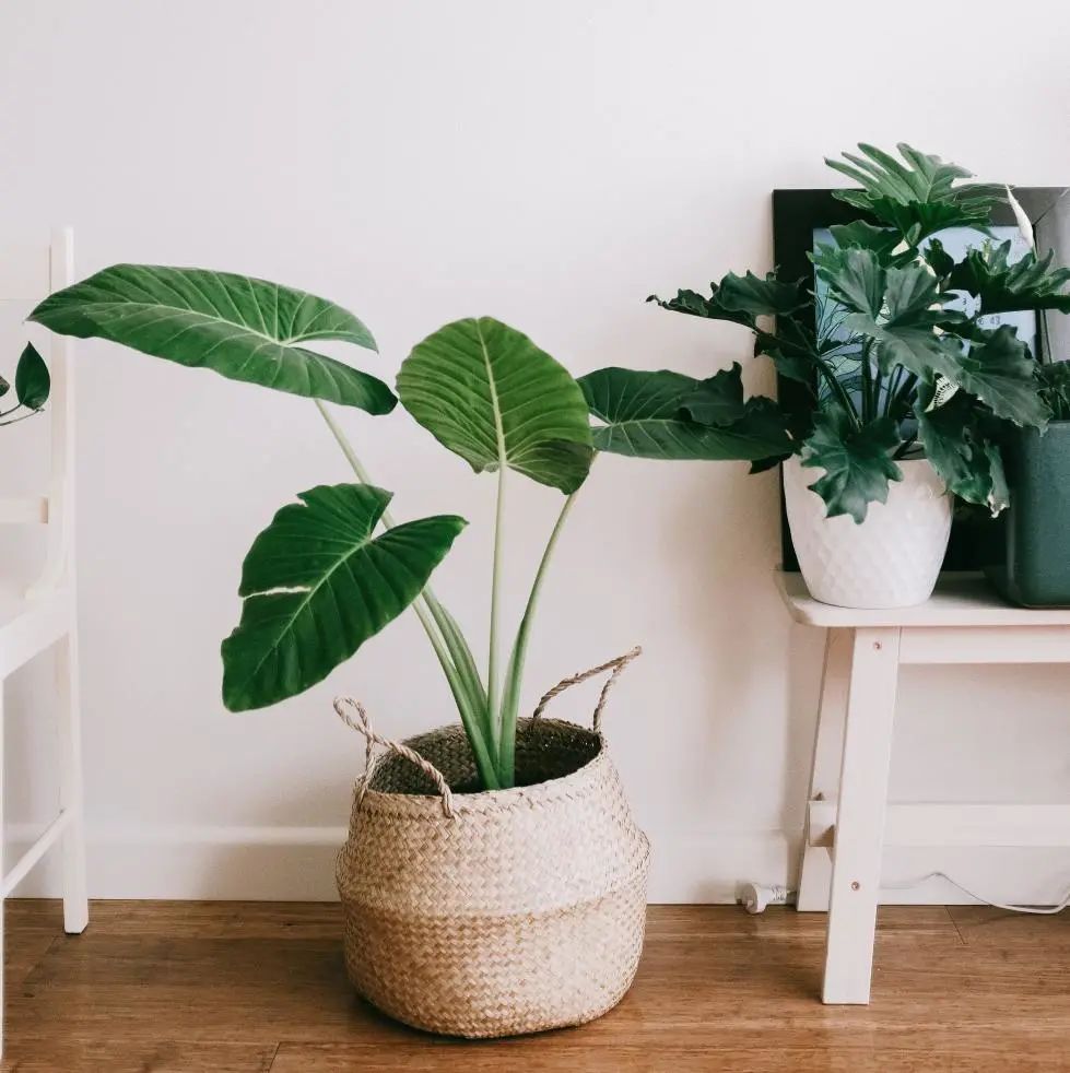 1654766234746242.jpg 微信圖片_20220609170951.jpg